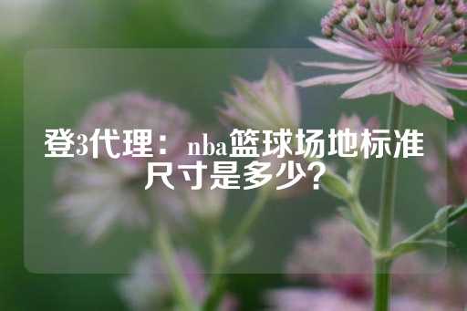 登3代理：nba篮球场地标准尺寸是多少？