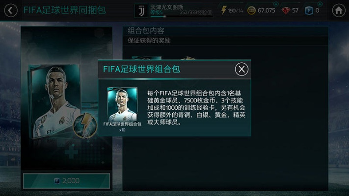 fifa世界杯补丁 fifa足球世界补丁包-第2张图片-www.211178.com_果博福布斯